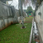 Tukang Taman Cikarang