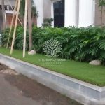 Tukang Taman Cibubur